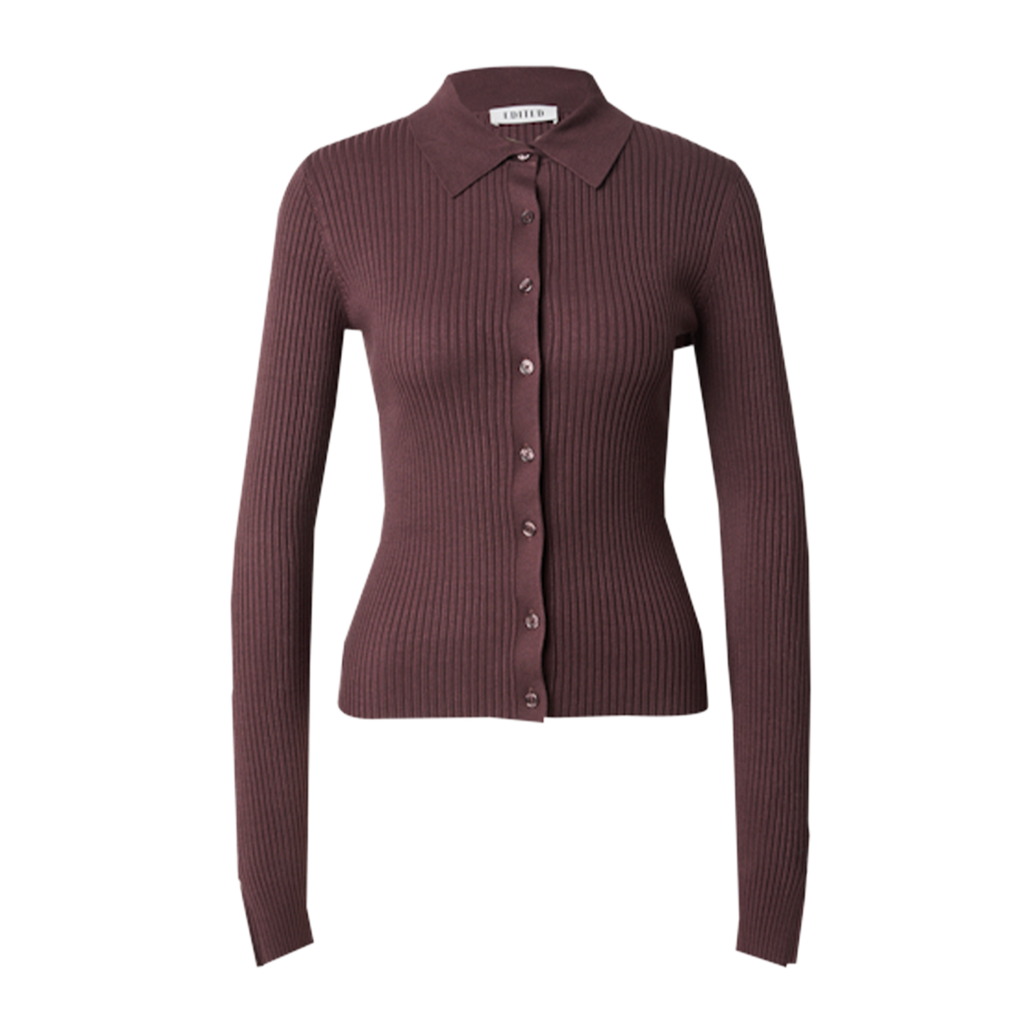 Yvana Polo
