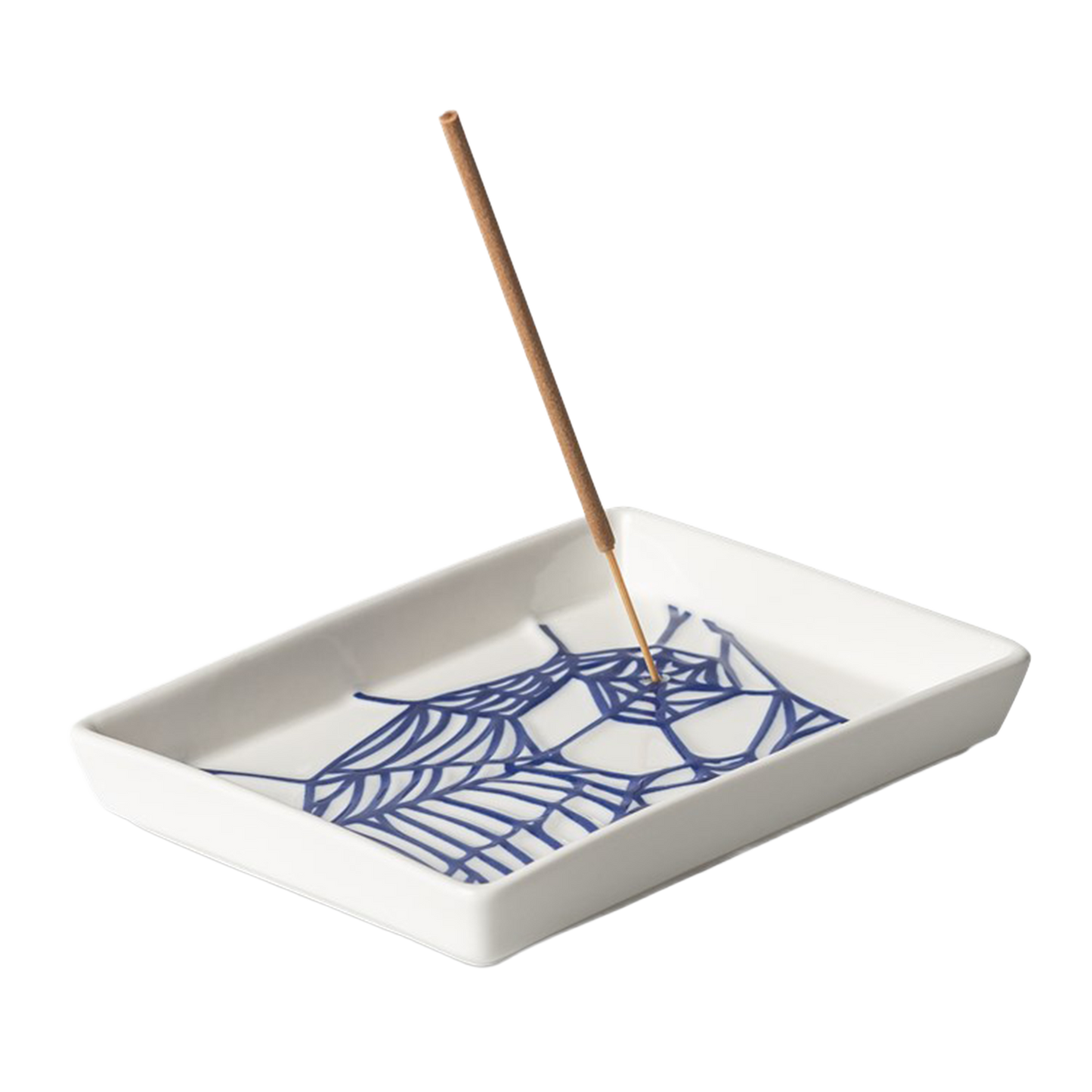 Theory and Practice Intense Tray