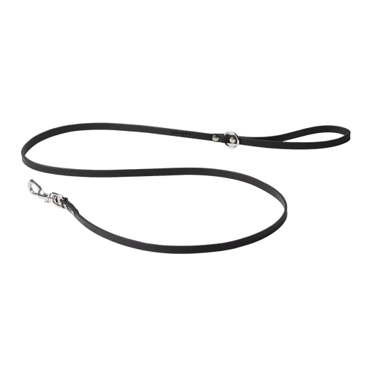 Script Studs Dog Leash