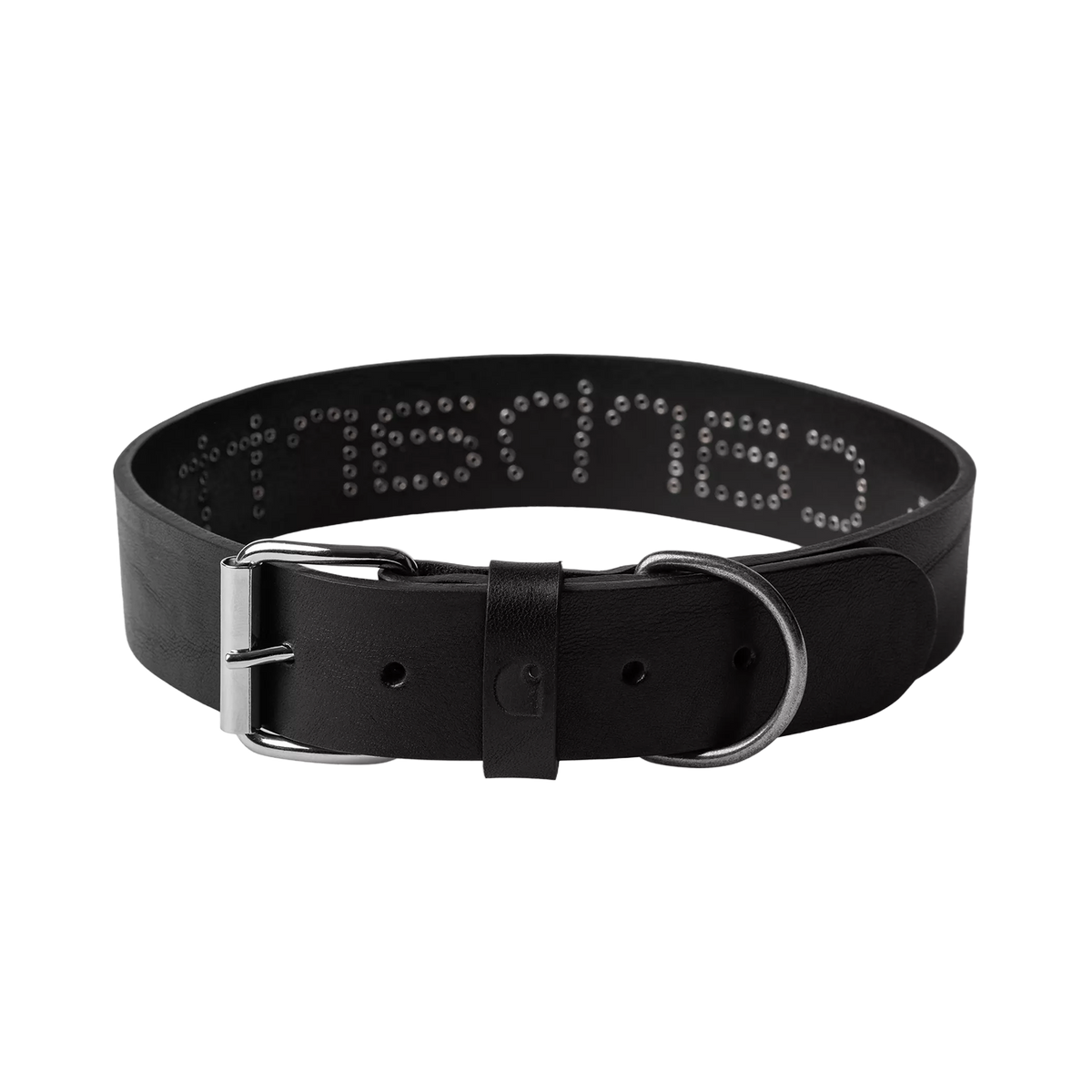 Script Studs Dog Collar