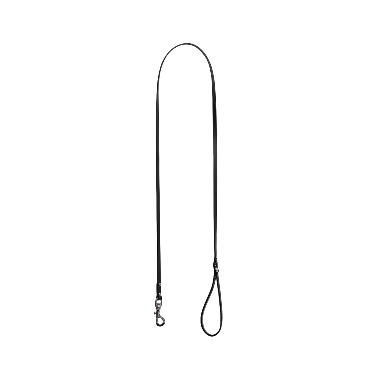 Script Studs Dog Leash