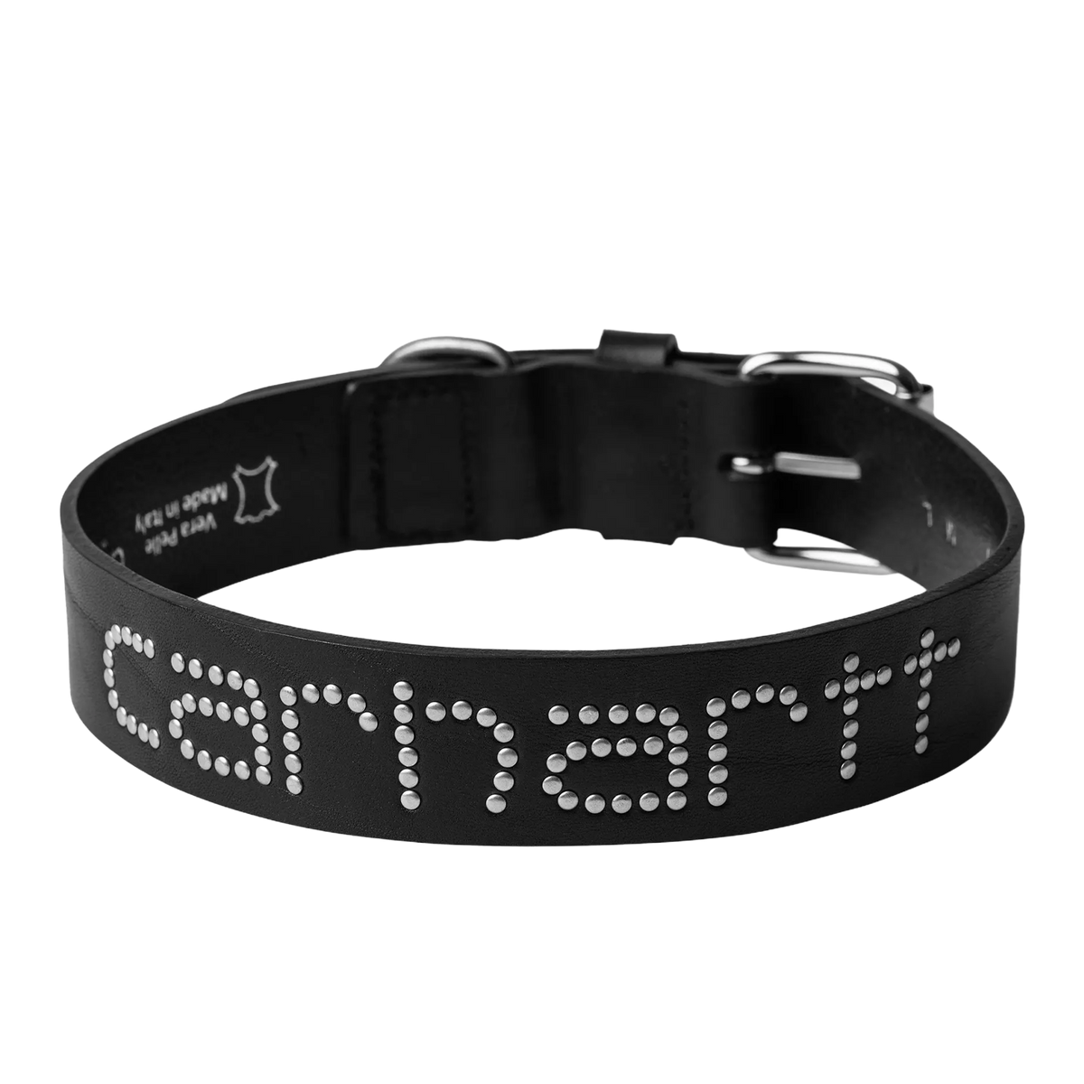 Script Studs Dog Collar