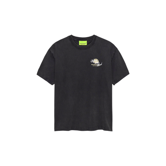 Welcome to Palm Beach Tee