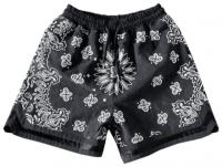 Paisley Print Shorts