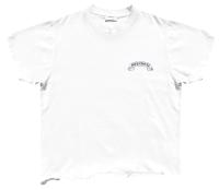 Paisley Banned T